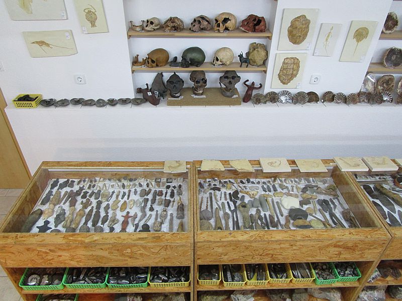 Prehistoric replicas