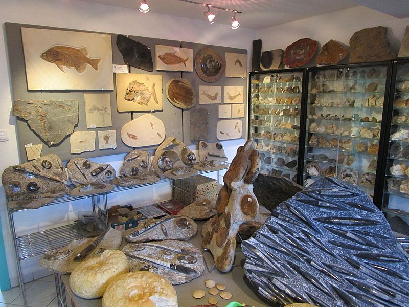 Fossils room